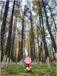 สวนสาธารณะในเมืองใหญ่ (Changchun-Kunming)
