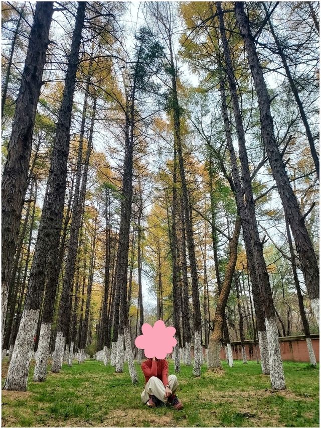 สวนสาธารณะในเมืองใหญ่ (Changchun-Kunming)