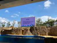 桃園 Xpark沉浸式水族館，探索奇幻海洋世界