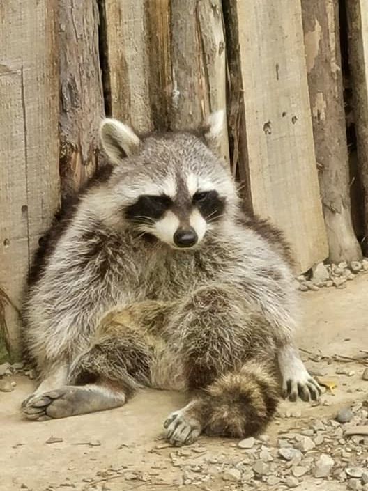 去新竹市立動物園重拾童趣