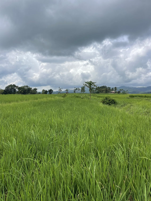Cooling Off at Wee Kacura – A Waterfall Escape in the Rice Fields 💦🌿