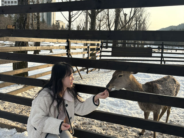 강원도 평창 여행 가성비 최고였던 감성숙소