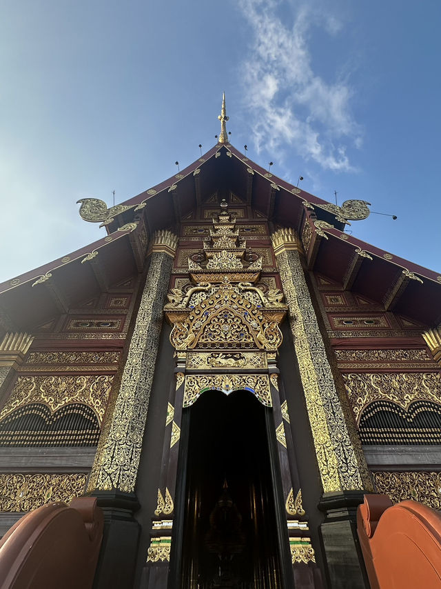 Discover the Charm of Chiang Mai During Winter ❄️ 🌷 