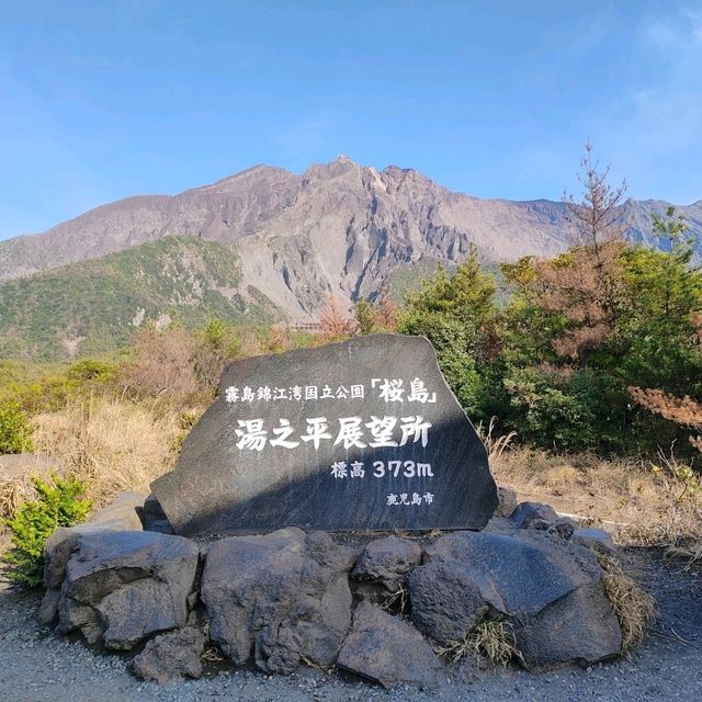 鹿兒島旅行｜櫻花×夜景×美食大滿足！🌸🌃🍜 性價比爆燈