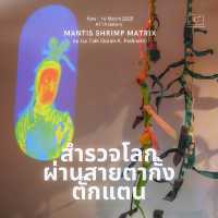 สำรวจโลกผ่านสายตากั้งตั๊กแตน 🪲