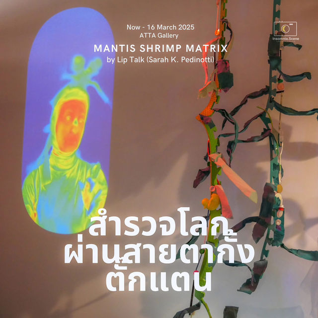 สำรวจโลกผ่านสายตากั้งตั๊กแตน 🪲