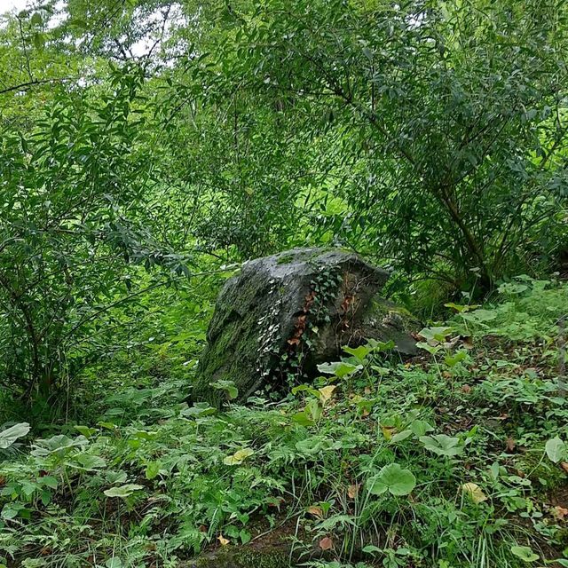 Funaoka Castle Park (船岡城址公園)