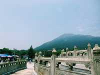 Ngong Ping Big Buddha & Po Lin Monastery: A Tranquil Escape