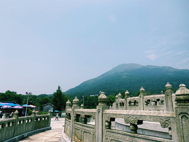 Ngong Ping Big Buddha & Po Lin Monastery: A Tranquil Escape