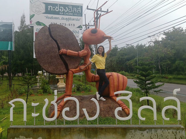 กะช่องฮิลล์
