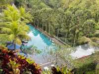 Jungle Fish Bali