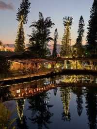 沖繩景點🏝️東南植物樂園淡季限定燈光秀
