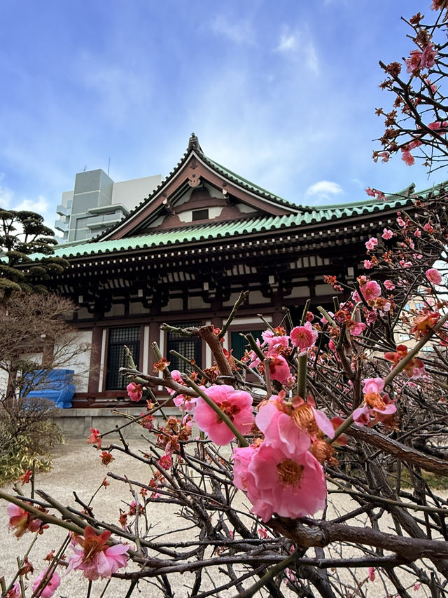 福岡｜壯嚴10.8公尺木造福岡大佛 弘法大師大唐修行後首座寺院-東長寺