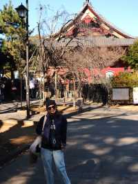 🇯🇵 Tokyo City : Chill, Explore & Eat 