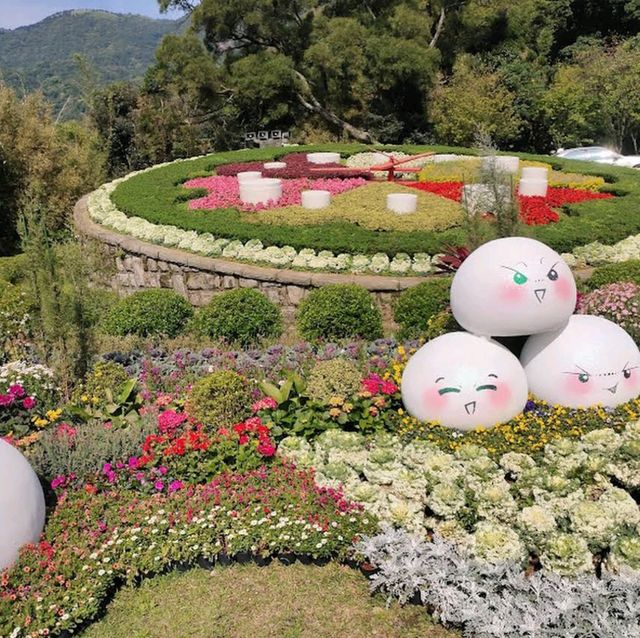陽明山國家公園 (Yangmingshan National Park)