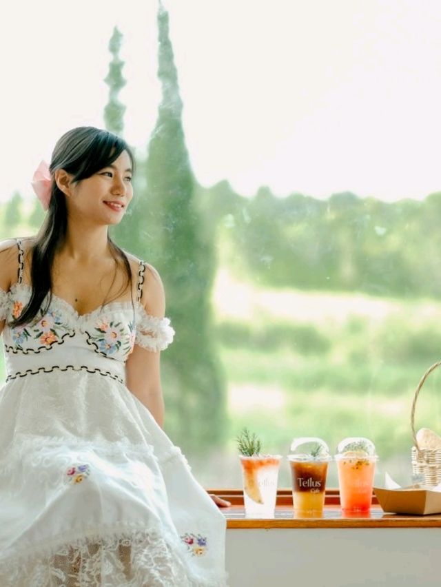 คาเฟ่เขาใหญ่ฟิลยุโรป