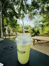 ในสวนศรี พัทลุงบ้านฉัน คาเฟ่กลางสวน ชิลๆ สบายๆ