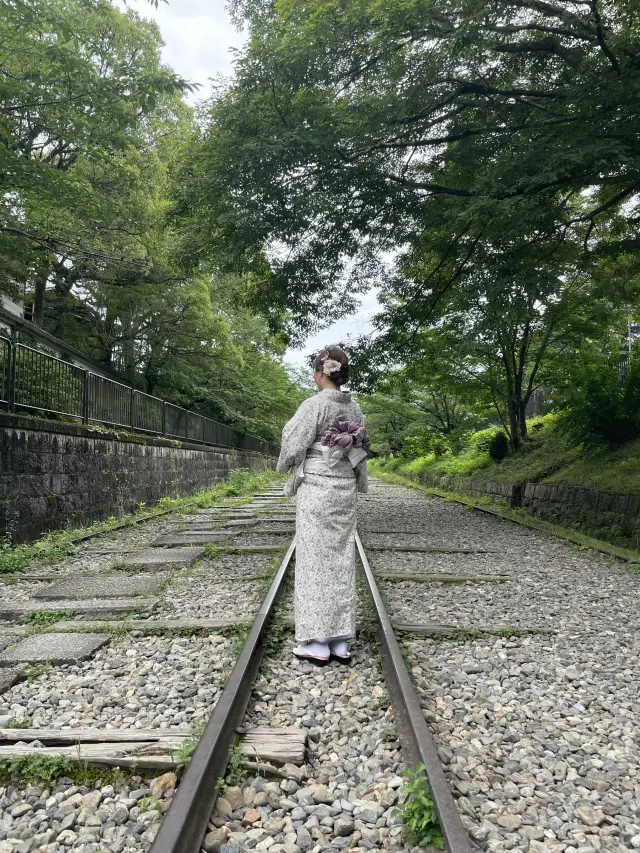 京都🚅2泊3日1人修学旅行🚅💨