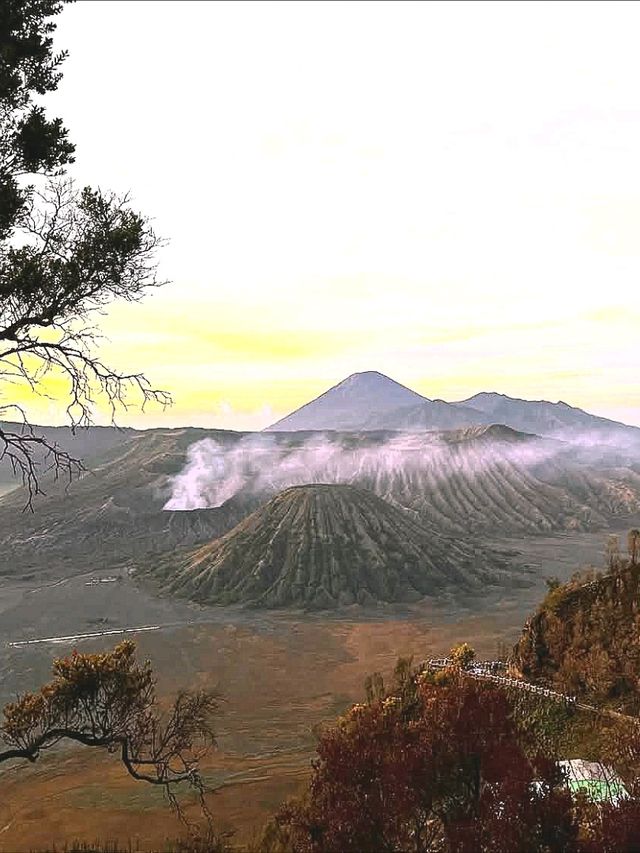 "Majestic Bromo: The Fiery Heart of Java"