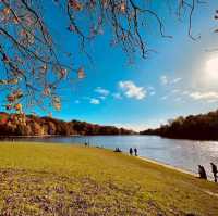 fantastic spot for a family day out