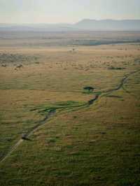 Hot Air Balloon Safari in Masai Mara - Kenya with Endless Views!