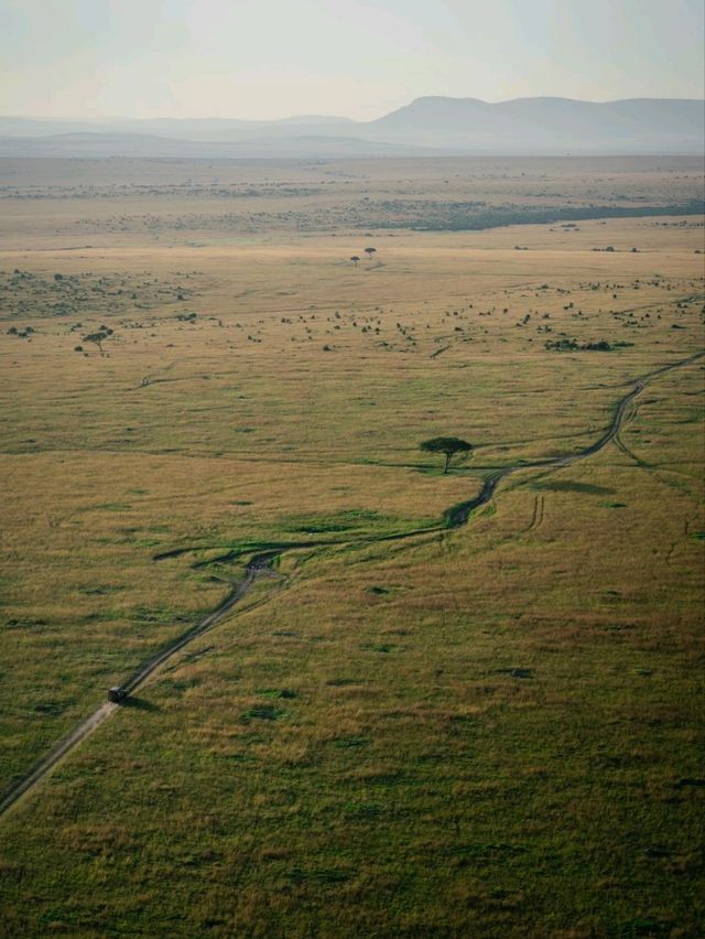 Hot Air Balloon Safari in Masai Mara - Kenya with Endless Views!