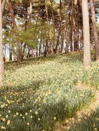 Spring's Historical Charm and Floral Majesty 