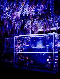 流光水境：藝術水族館的夢幻之旅