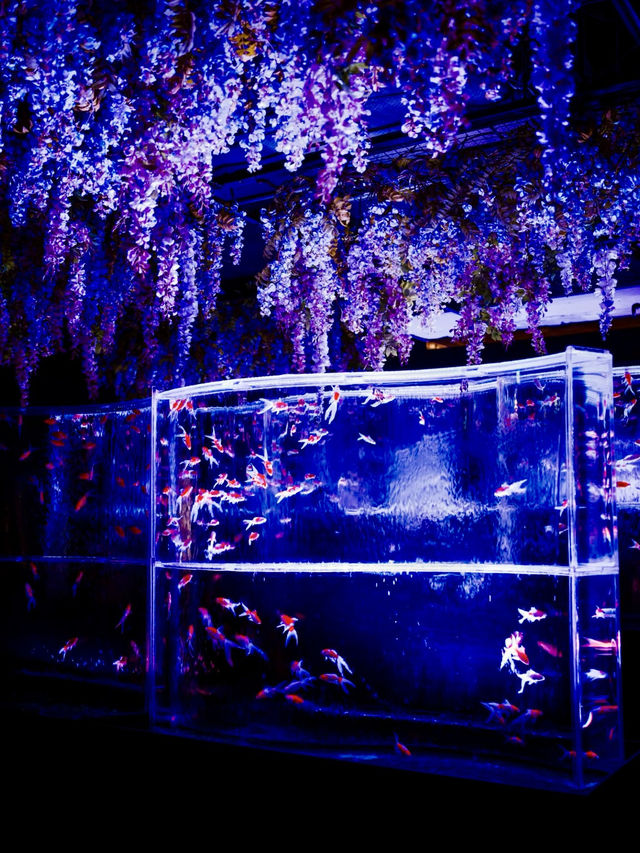 流光水境：藝術水族館的夢幻之旅