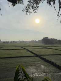 Sri Lanka: A Little Island with a Lot to Offer