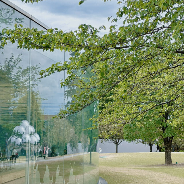 金沢のシンボル的存在、21世紀美術館 🏛️🌟