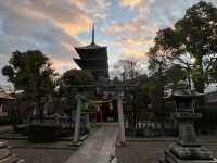 【東寺】世界遺産🌏