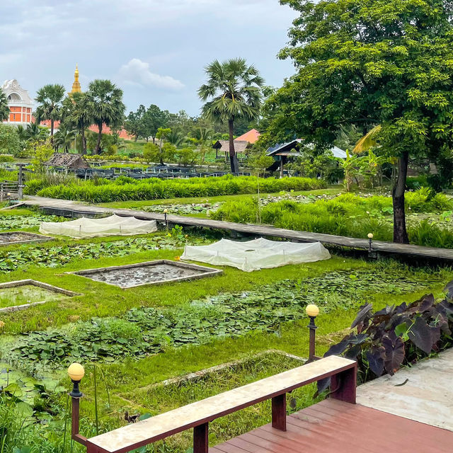 ครัวสุโข ร้านอาหารไทยแบบออแกนิค