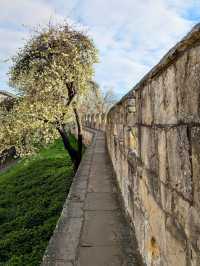York City Walls