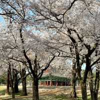DONGGUNG PALACE | A TIMELESS JEWEL OF GYEONGJU