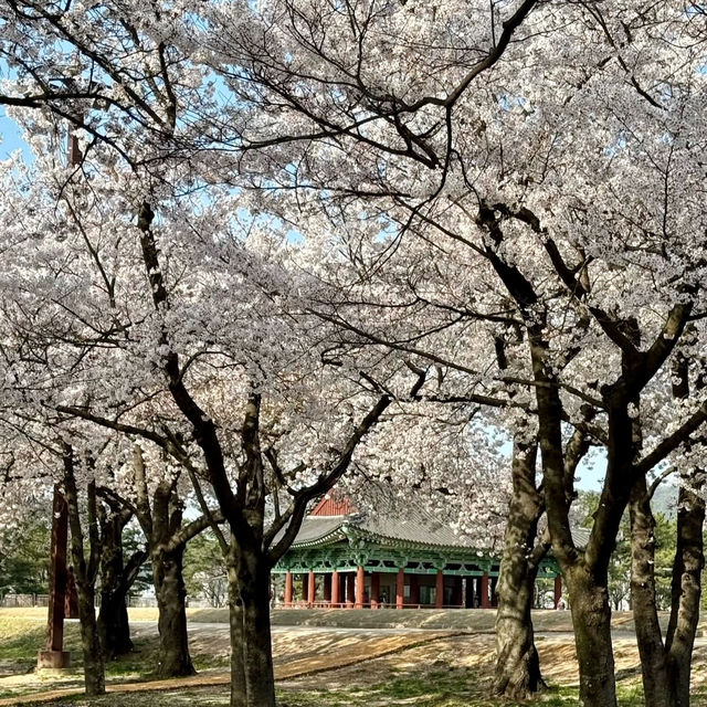 DONGGUNG PALACE | A TIMELESS JEWEL OF GYEONGJU
