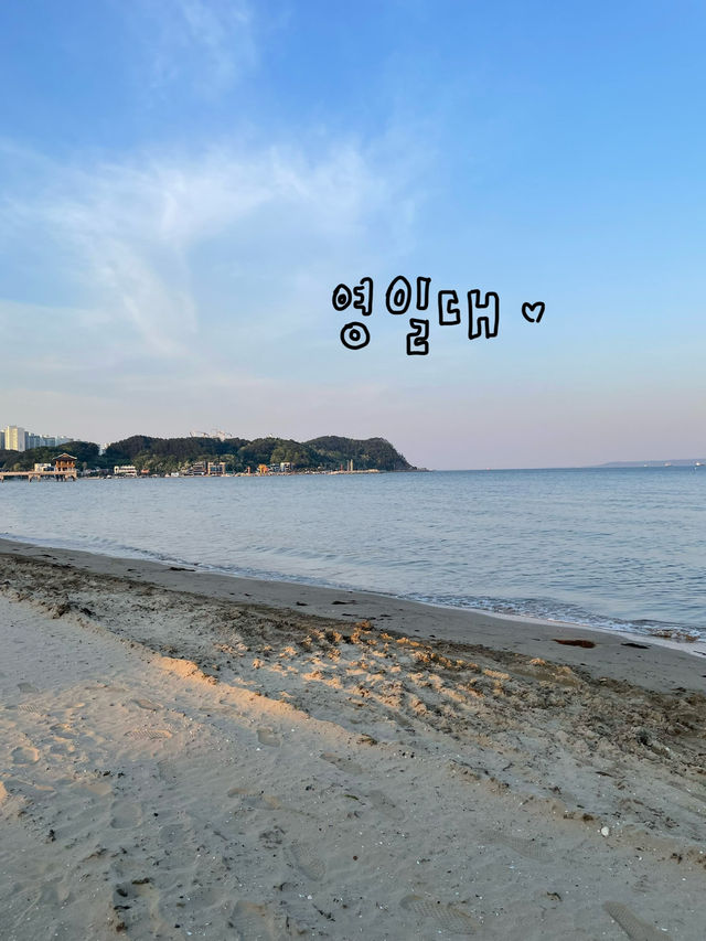 낭만 최고, 포항 바다 여행🦋🌊