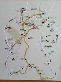 Tea Trails and Temple Tranquility: My Hangzhou Discovery
