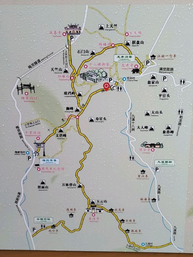 Tea Trails and Temple Tranquility: My Hangzhou Discovery