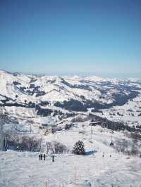 東京90分鐘前往雪國！越後湯澤滑雪場新手選擇