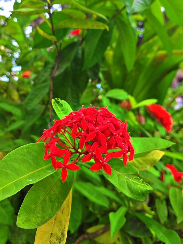 *Spring: nature’s way of saying, “Let’s party!”* 🎉  