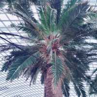 Nature's Harmony: My Unforgettable Visit to Gardens by the Bay