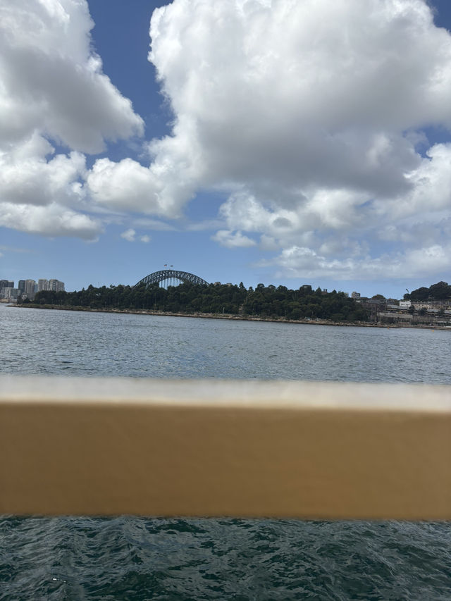 Breathtaking Sydney Harbour Bridge is a MUST VISIT!!