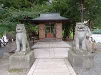 【長野】南アルプスの澄んだ水で育つわさびを見学・大王わさび農場