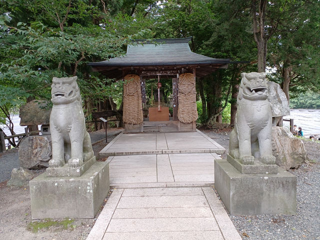 【長野】南アルプスの澄んだ水で育つわさびを見学・大王わさび農場