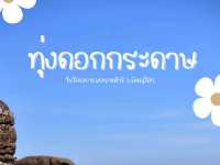 ทุ่งดอกกระดาษ