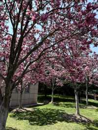 Minhang Cultural Park – Shanghai's Sprawling Green Canvas