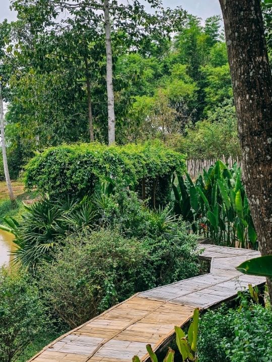 หนีความวุ่นวายมา บ้านนอกคอกนา เขาใหญ่