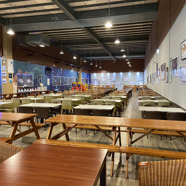 海洋生物互動展館，近距離觀賞與餵食鯊魚