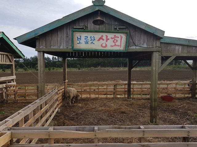 보름왓